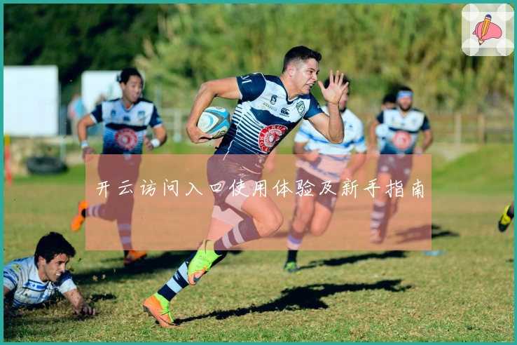 开云访问入口使用体验及新手指南