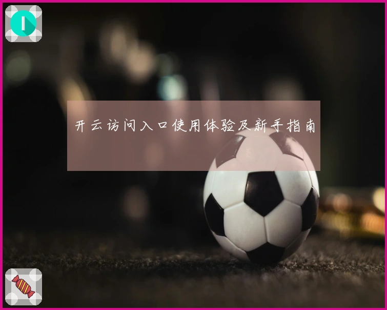 开云访问入口使用体验及新手指南