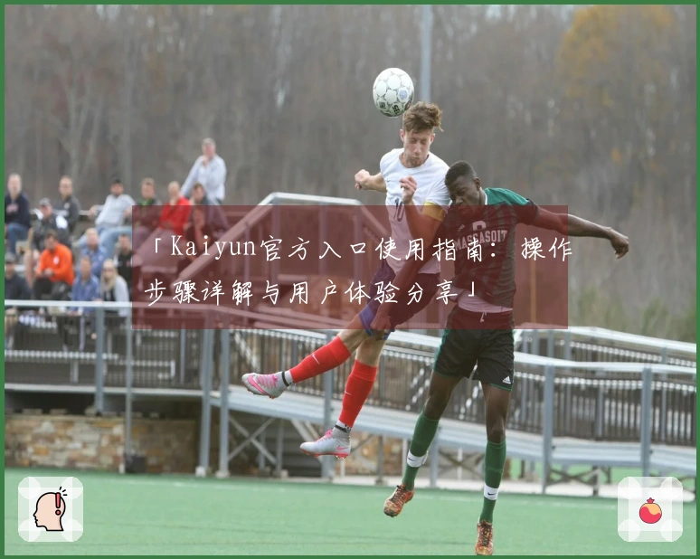 「Kaiyun官方入口使用指南：操作步骤详解与用户体验分享」